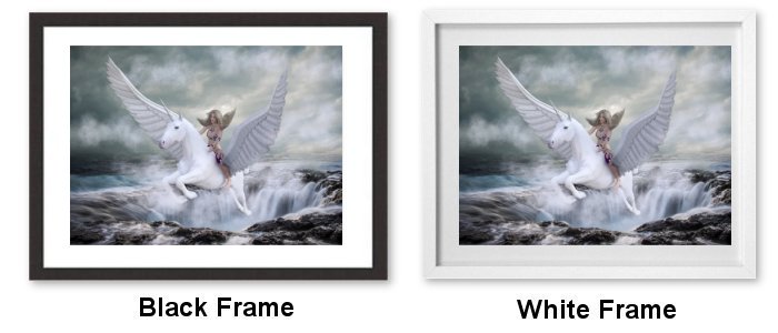 Select Your Frame Select Your Frame